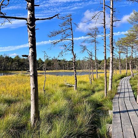 Ennu'S Hut Hotel Loksa Buitenkant foto