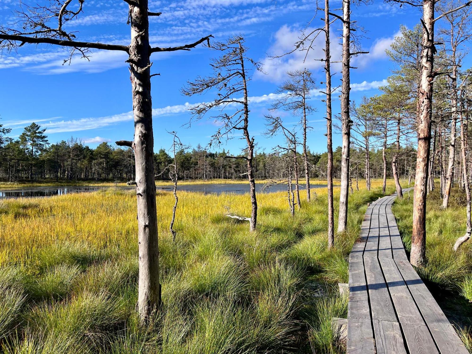 Ennu'S Hut Hotel Loksa Buitenkant foto